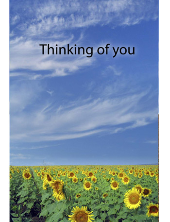 Click here to choose this card